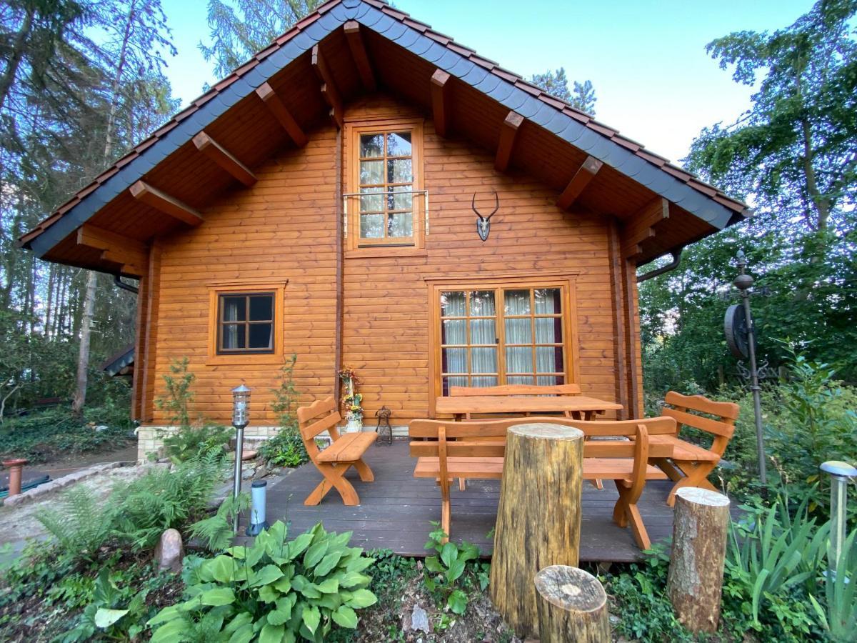 Waldhaus Eichhoernchen Bad Schmiedeberg Ngoại thất bức ảnh