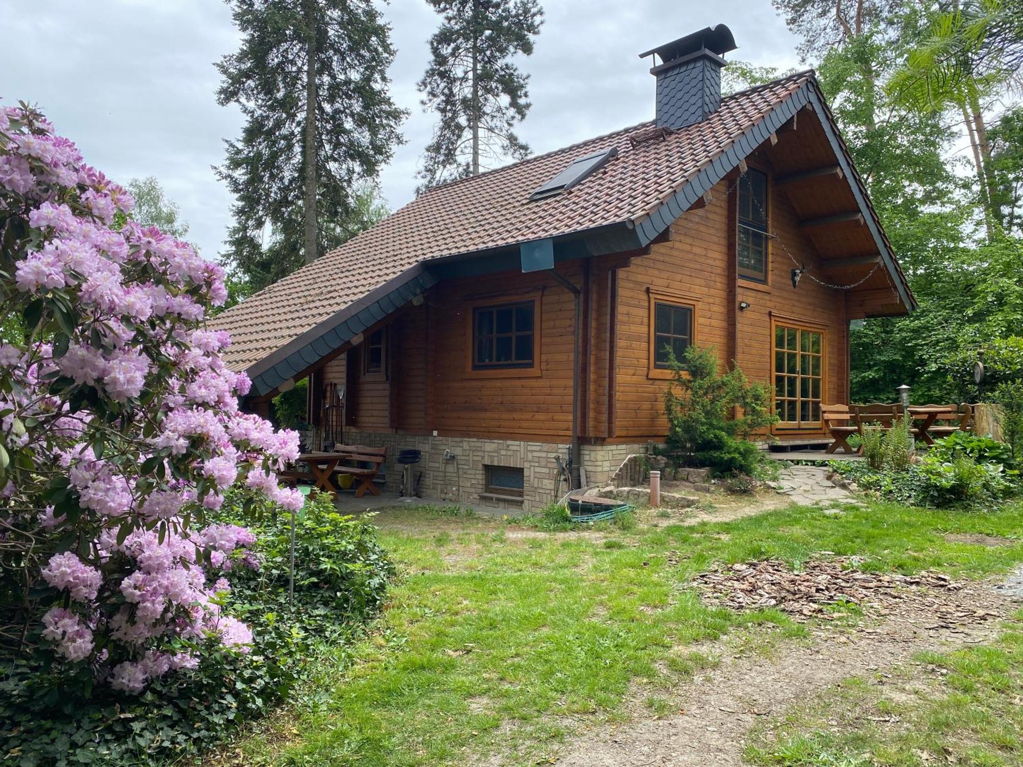 Waldhaus Eichhoernchen Bad Schmiedeberg Ngoại thất bức ảnh